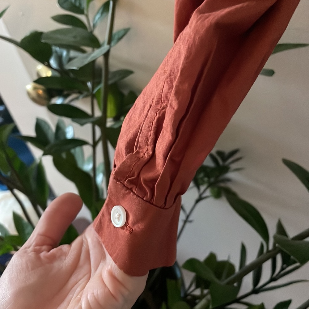Everlane Rust Silky Cotton Lantern Button-Up Top - Picture 4 of 4
